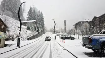 Rize ve Artvin'de kar etkili oldu