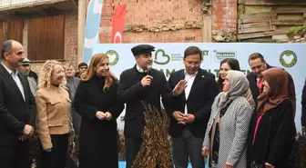 Sındırgı'da susam alım töreni gerçekleştirildi