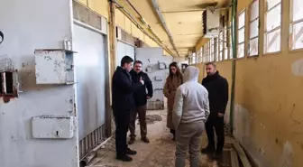 Suriye'de Esed rejiminin insan hakkı ihlalleri somut delillerle ortaya konuldu