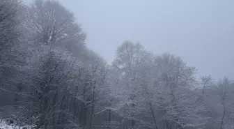 Tokat'ın yüksek kesimleri beyaza büründü