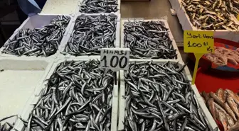 Trabzon'da hamsi ve istavrit 100 liradan satılıyor