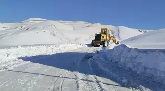 Van'da kapalı yollar ulaşıma açıldı