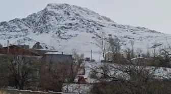 Van'da yüksek kesimlere kar yağdı