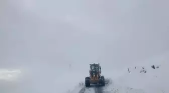 Van ve Hakkari'de ulaşımın sağlanamadığı 172 yerleşim yerinden 158'inin yolu açıldı