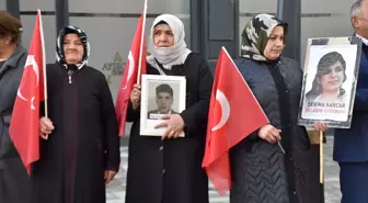 Vanlı aileler, DEM Parti İl Başkanlığı önündeki eylemlerini sürdürdü