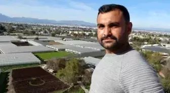 Antalya'da çiftçiler 1,5 dönümlük tarlaya 13 bin marulla Türk bayrağı deseni oluşturdu