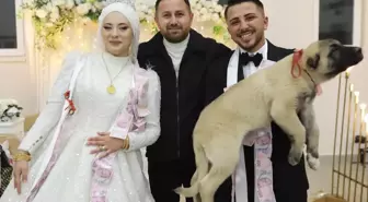 Düğünde arkadaşına takı yerine hediye ettiği şey herkesi şaşkına çevirdi