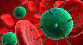 H3N2 virüsü Türkiye'de var mı? H3N2 virüsü nedir, belirtileri nelerdir? H3N2 virüsünden nasıl korunulur?