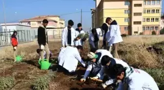 Öğrencilere 'tohumdan sofraya' tarım eğitimi