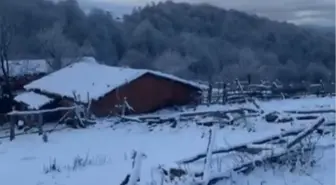Amasya'nın Taşova ilçesinde kar yağışı etkili oldu