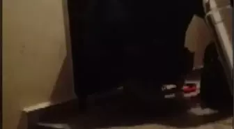 Cinayet suçundan 14 yıldır aranan hükümlü İstanbul'da yakalandı