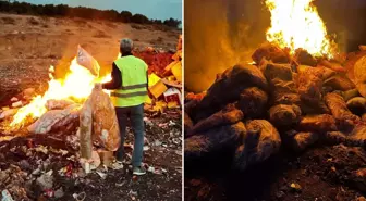 Çocukları zehirleyeceklerdi! 2 ton ürün imha edildi