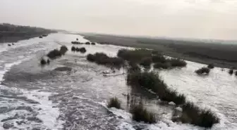 Dicle Nehri'nden 'köpük' akıyor