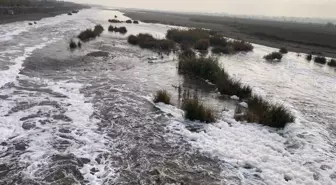 Dicle Nehri'nden 'köpük' akıyor