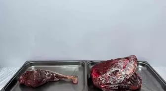 Karaman'da yaban keçisi avlayan şahıslara 954 bin 208 lira ceza