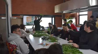 Liseliler, gıda krizine karşı yenilebilir otları tanıyor