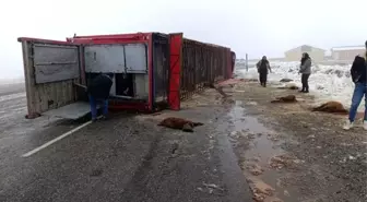 Patnos'ta hayvan yüklü tır devrildi: 10 küçükbaş telef oldu