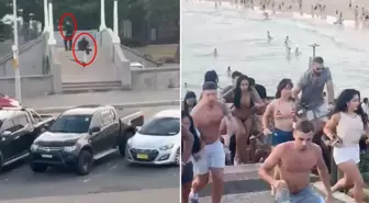 Avustralya'da 12 kişinin can verdiği saldırıyla ilgili kan donduran detay! Arabadan çok sayıda bomba çıktı