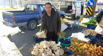 Aydın'daki dev mantarlar pazarda ilgi odağı oldu