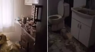 Öğrenci evine giren ev sahibi hayatının şokunu yaşadı: Bu adam kesinlikle ruh hastası