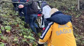 Otomobil ormanlık alana uçtu, 2 yaralı