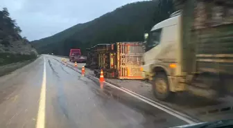 Bolu'da odun yüklü tır devrildi