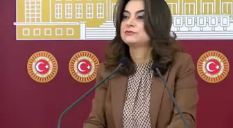 DEM Parti'li Koçyiğit: Yeni bir Türkiye istiyoruz