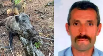 Erzincan'da domuzun saldırısına uğrayan avcı öldü