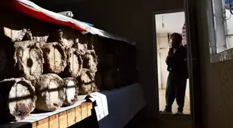 Evinin en güzel odasını tahsis etti! Kilosunu 10 bin TL'den satıyor