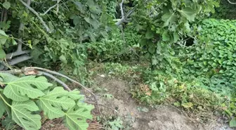 Fethiye'de kazada yaralanan genç, 123 günlük hayat mücadelesini kaybetti