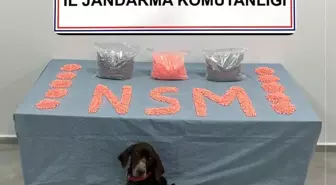 Jandarma KOM'un başarılı operasyonunda 28 bin adet uyuşturucu hap ele geçirildi