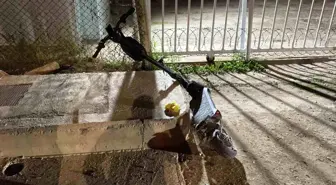 Kazadan sonra taburcu oldu, 3 gün sonra hayatını kaybetti