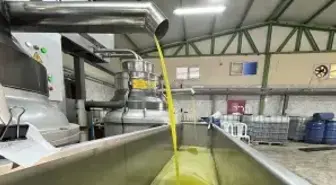 Muhtar fabrika kurup tüm mahalleyi işe aldı! Suudi Arabistan'a bile ihraç ediyor