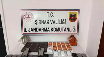Şırnak'ta jandarmadan dev operasyon: 69 şüpheliye adli işlem yapıldı