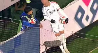 Trabzonspor-Beşiktaş maçında ilginç anlar