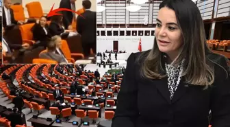 Türkeş'in kızının Öcalan için söyledikleri Meclis'i karıştırdı