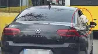 Üsküdar'da yeni başkan eski başkanın makam aracını köpeğine tahsis etti iddiası