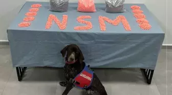 Denizli'de jandarma narkotik ekipleri zehir tacirlerine göz açtırmıyor