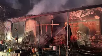 Edirne'de çiftlik yangınında maddi hasar meydana geldi