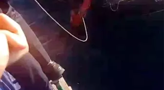 Feribottan atlayan kişiyi Gestaş personelleri ve balıkçılar kurtardı