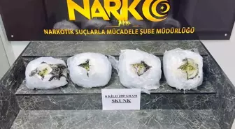 Şırnak'ta 6 kilo 200 gram skunk ele geçirildi