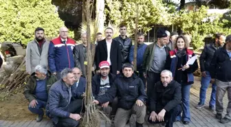 Sultanhisar'da üreticiye kestane ve incir fidesi dağıtıldı