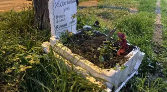 Taksicilerden vefa...Ölen muhabbet kuşları için mini mezar yaptılar