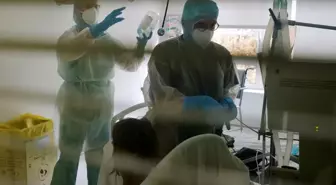 Avrupa'yı alarma geçiren virüs Türkiye'de! Sağlık Bakanlığı'ndan açıklama var