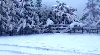 Bolu'da kış turizmine yapay kar desteği