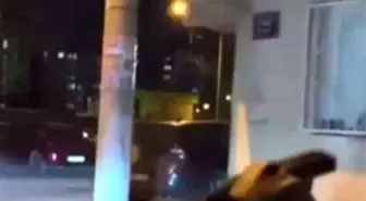 Elinde tabanca ile sokakta ateş edip tehditler savurdu