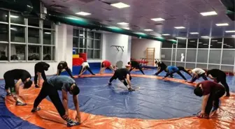 Güreş minderinde güç ve teknik bir arada