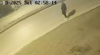 Hatay'da silahla yolda yürüyen şüpheli yakalandı