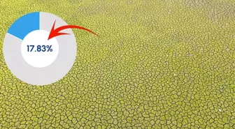 İstanbul barajları alarm veriyor! Son 10 yılın en düşük seviyesinde: Ciddi bir imtihandayız