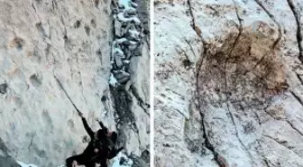 İtalya'daki bir dağda binlerce dinozor ayak izi keşfedildi: 'Muazzam bir bilimsel hazine'